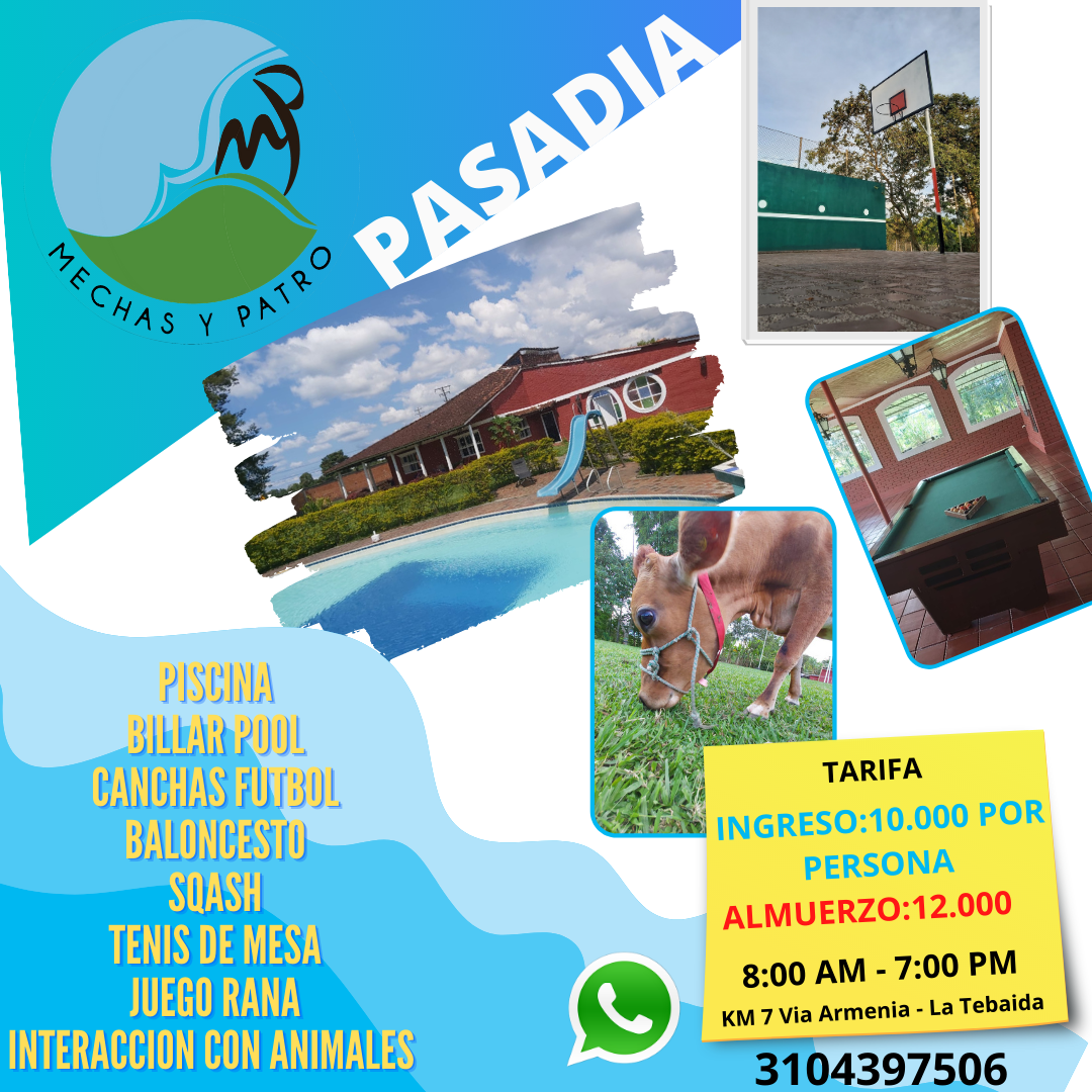 PASADIA&nbsp;